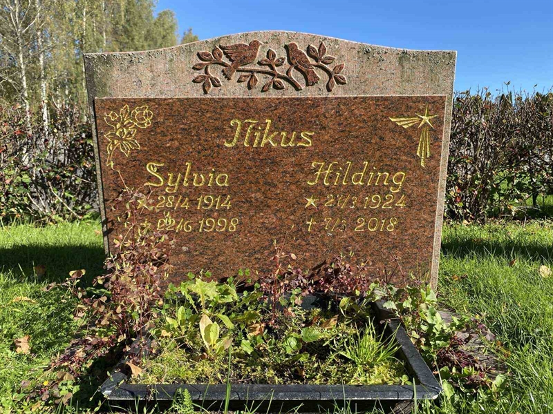 Hautatunnus: 1 22    120