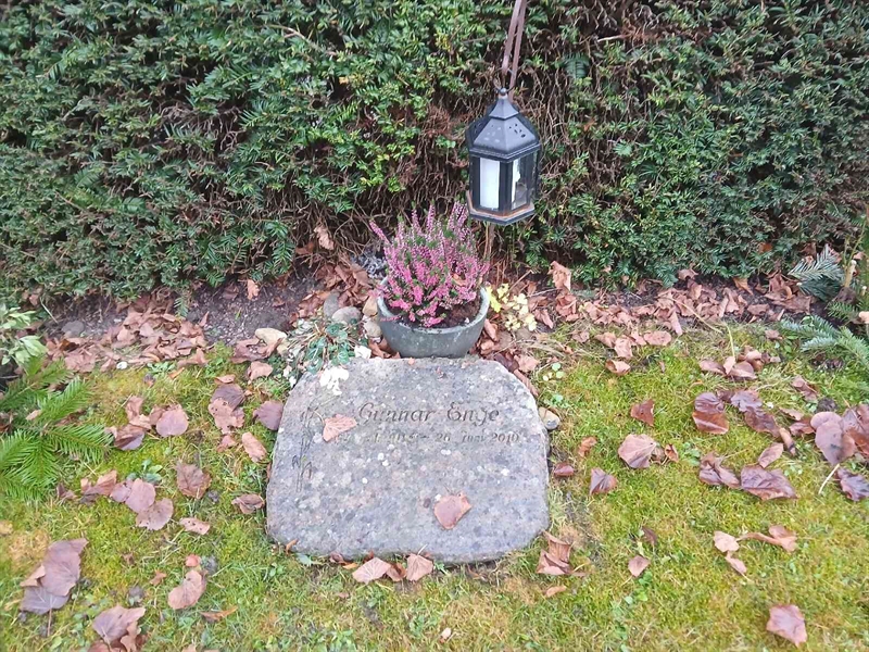 Hautatunnus: FE H   232