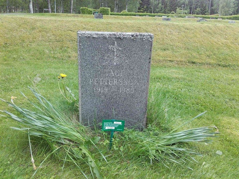 Grave number: KA 11     1