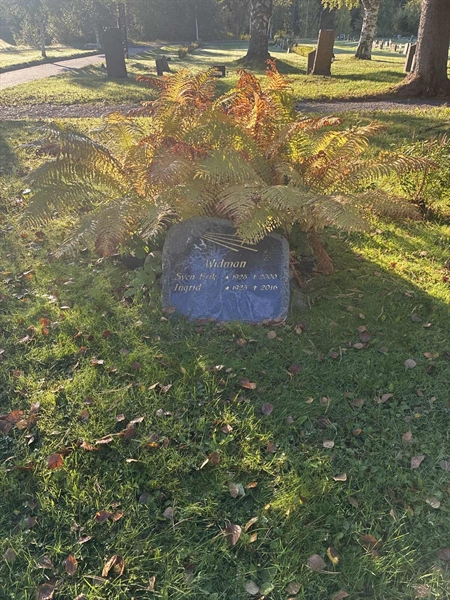 Grave number: 2 11     2