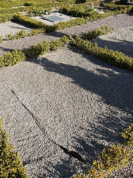 Grave number: NK E 56-57