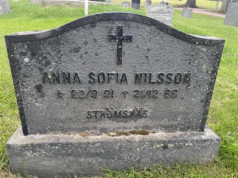Grave number: 001 1 6  6677