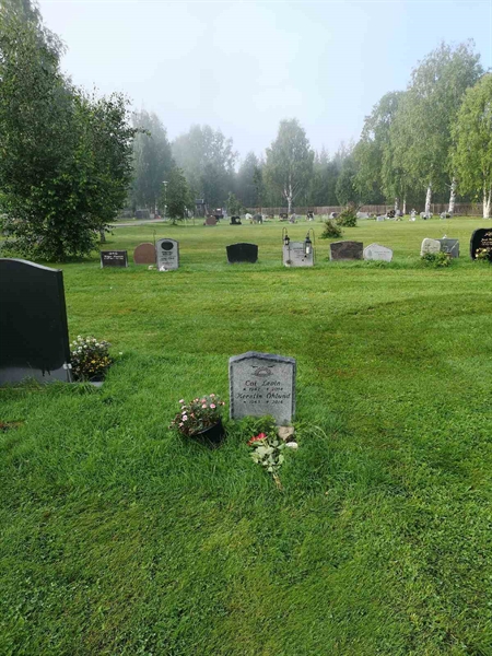 Hautatunnus: NK 20    41-42