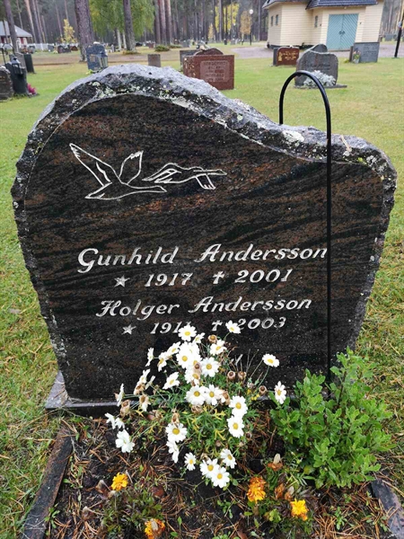 Hautatunnus: VLM 13    61-62