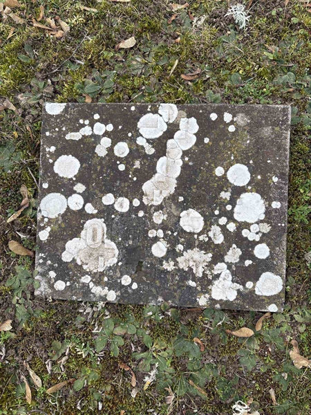 Gravnummer: LE   443