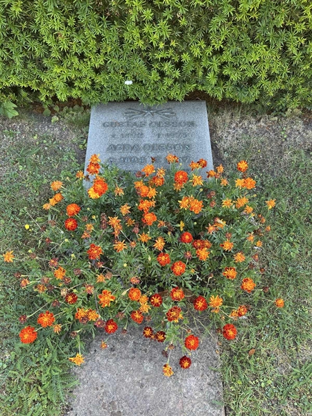 Grave number: NK I:u   289