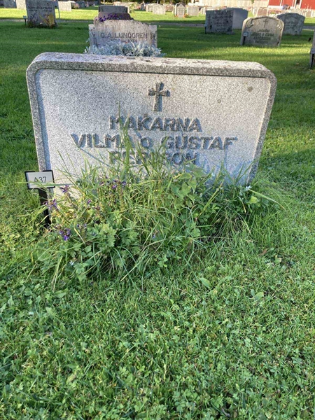 Grave number: 1 NA    37