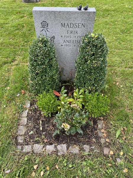 Hautatunnus: 2 C   443-444