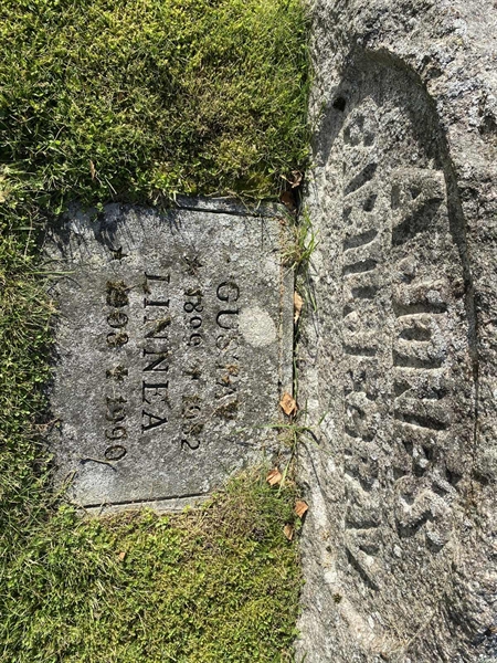 Grave number: 4 Ga 12    35-36