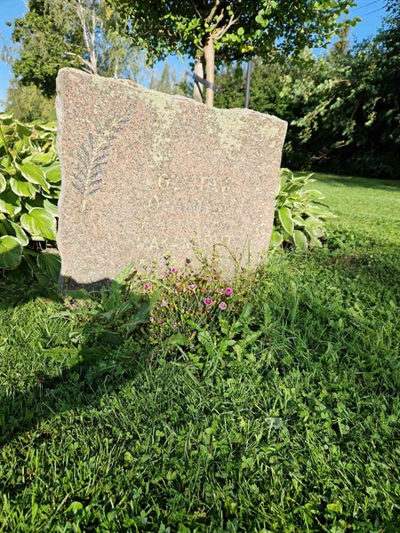 Grave number: 1 15   136