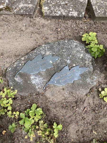 Gravnummer: MÖ G VI 14
