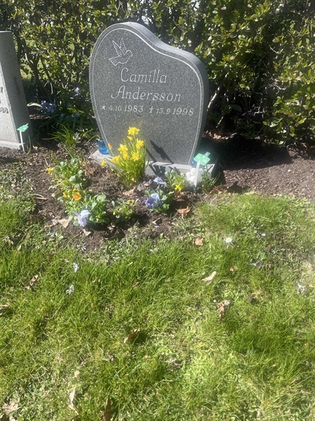 Grave number: 1 3 F1 188