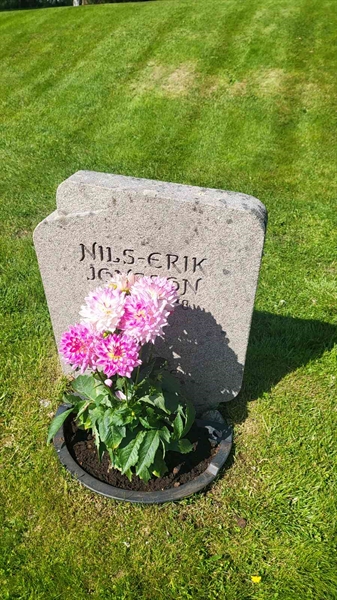 Grave number: D N 2   523-524