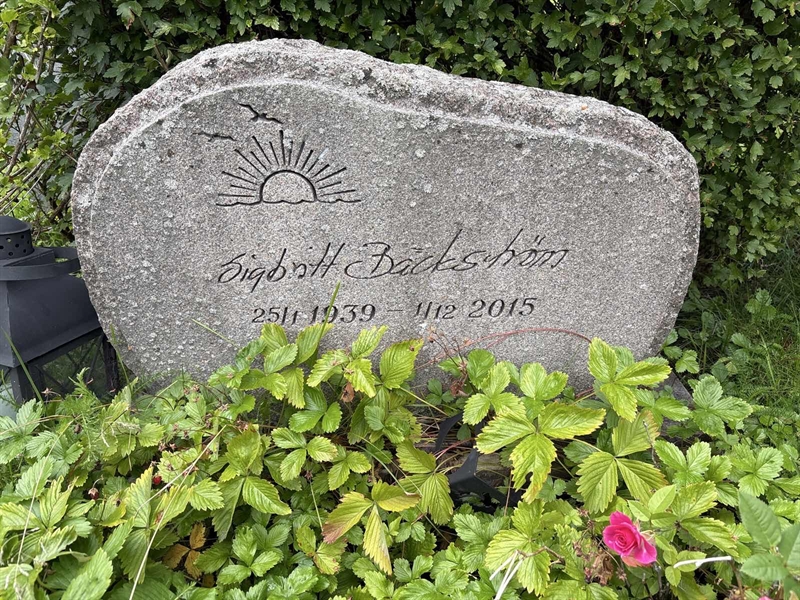 Grave number: SÄ MEL  1235