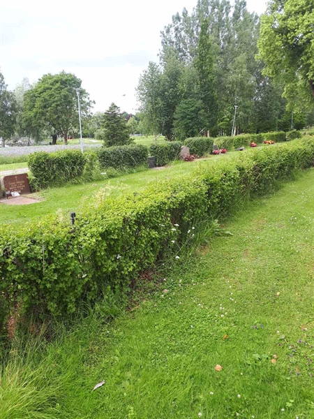 Grave number: GK F 5   621