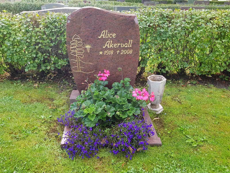 Grave number: SÄ F   239