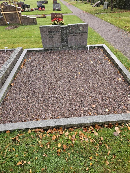 Hautatunnus: Fr 1    95-96