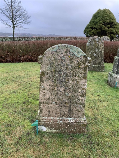 Grave number: V OIII 217