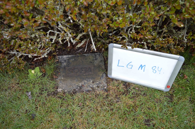 Grave number: LG M    84