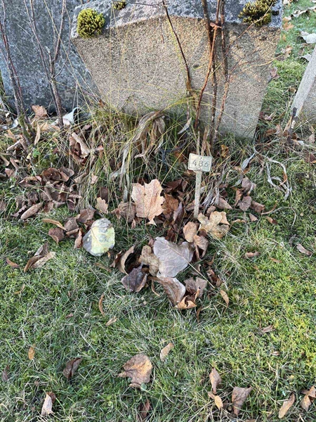 Gravnummer: GK A 3   483