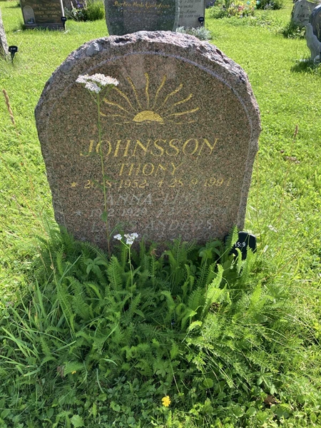 Grave number: 1 15     9