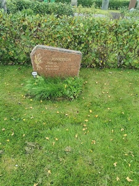 Grave number: F NYA  1672