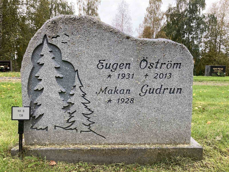 Hautatunnus: NK B   138