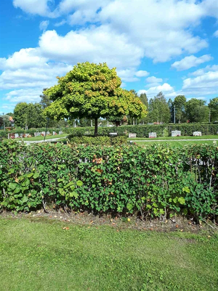 Grave number: NK F A   138