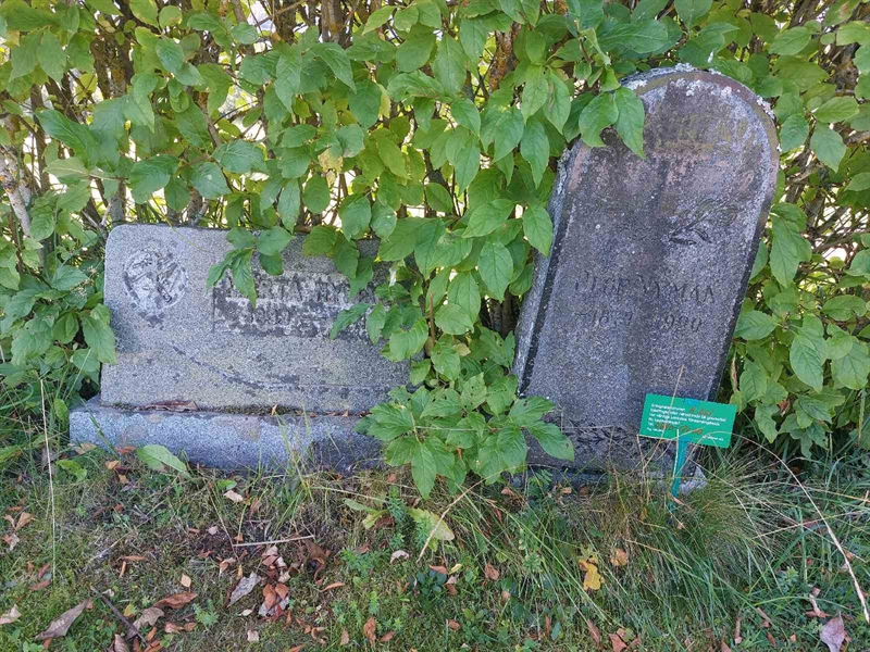 Hautatunnus: NY H 261