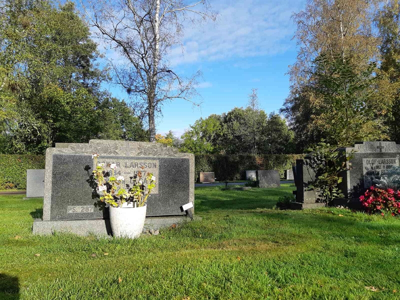 Hautatunnus: Fr 7   280-281