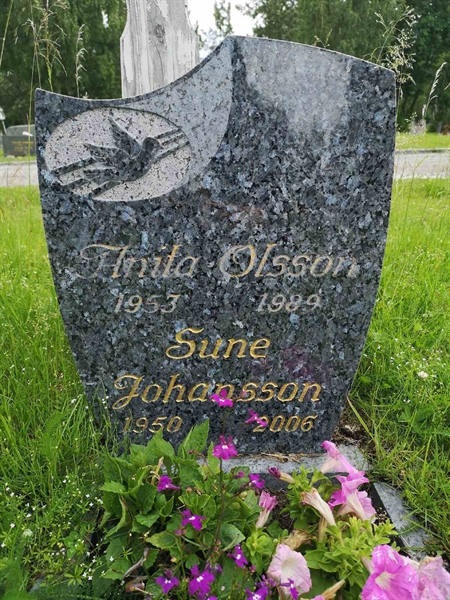 Gravnummer: NK 07    31