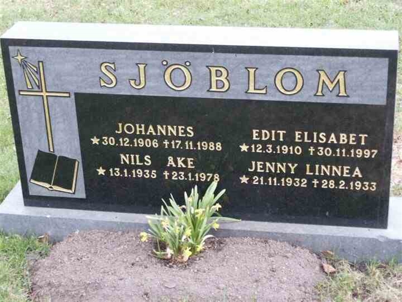 Hautatunnus: 1 GB1 01      7-8