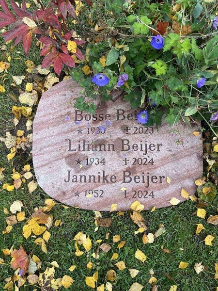 Grave number: 1 01   239