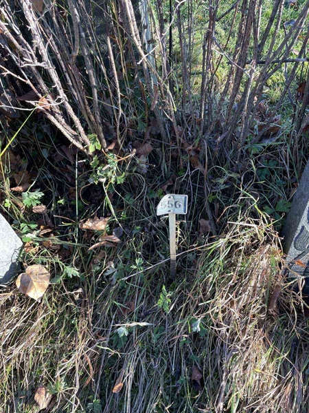 Gravnummer: GK A 3   556