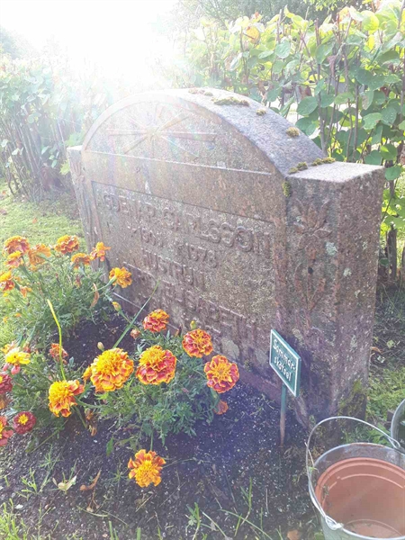 Gravnummer: NK F A   217