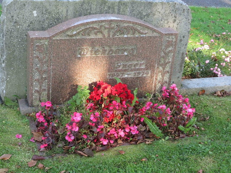 Grave number: 1 02   36