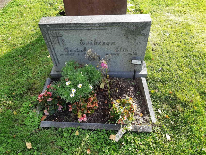 Hautatunnus: Fr 8   436-437