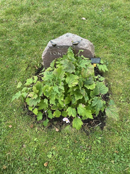 Hautatunnus: 2 E   138