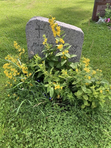 Grave number: 1 15    31