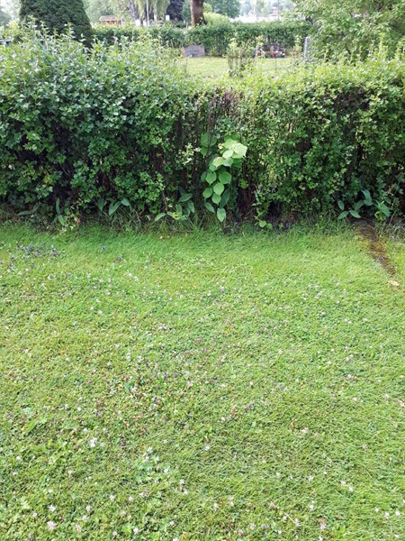 Gravnummer: GK F 5   415