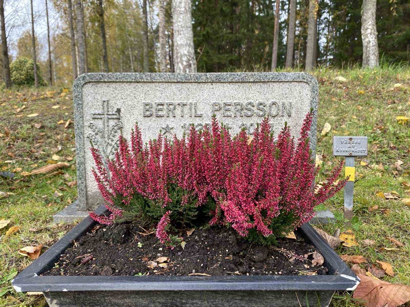 Grave number: 1 23    U41