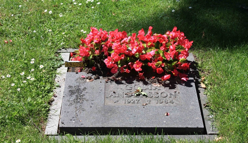 Grave number: Ö 45   409