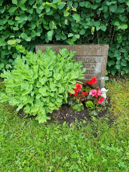 Grave number: 1 29 23