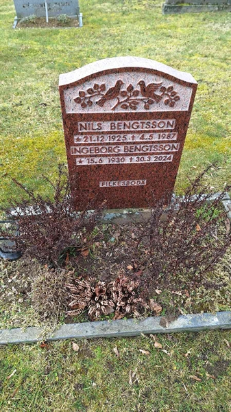 Hautatunnus: VG B    81-82