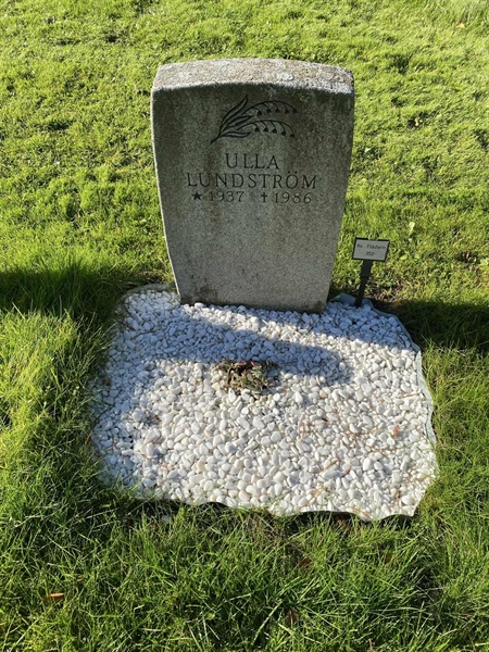 Hautatunnus: 2 F   353