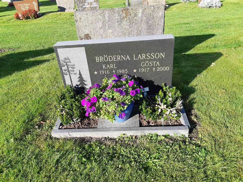 Grave number: Fr 8   364-365