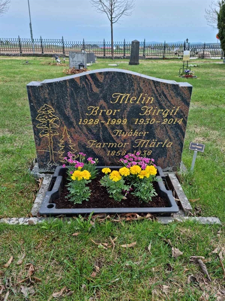 Grave number: D G 3   183-184U