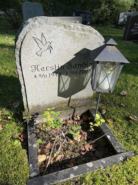 Hautatunnus: 30ST HÄGG    19