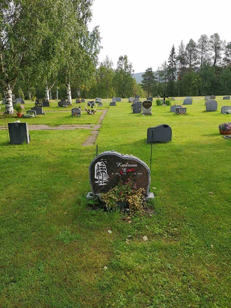 Hautatunnus: NK 17    95-96