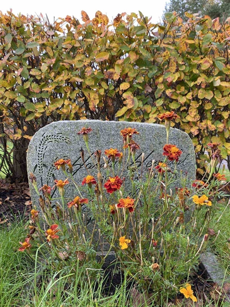 Gravnummer: 1 22     U1